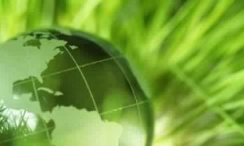 Environnement : Un 1er forum dédié aux emplois verts au Maroc